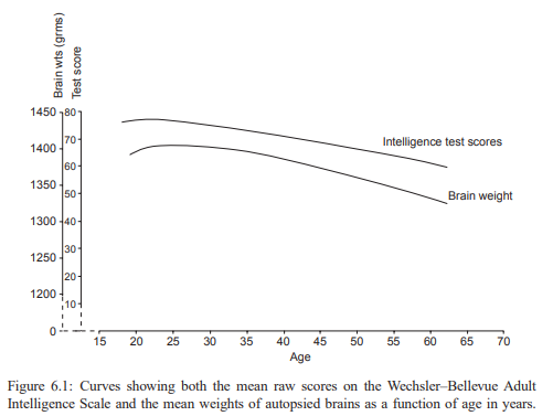 poids cerveau QI intelligence âge
