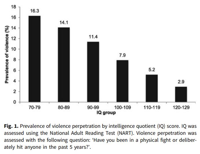 IQ violence 